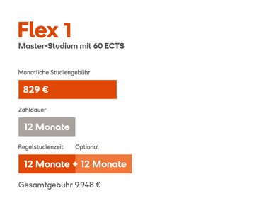 Flex-Modell 1 (Variante 60 ECTS)